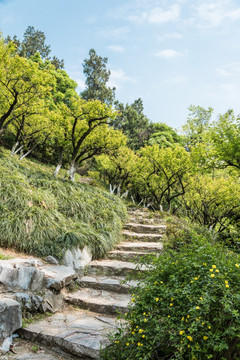 九华山公园山景