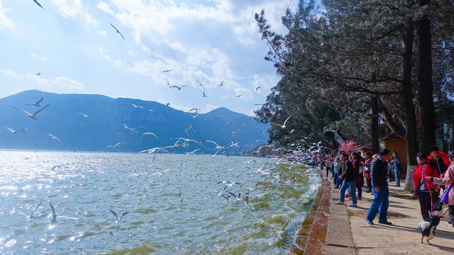 翠湖 公园
