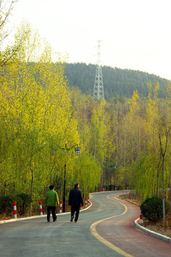 山间小路背影