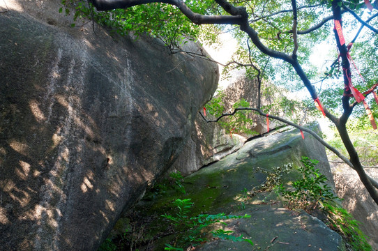 山中岩石