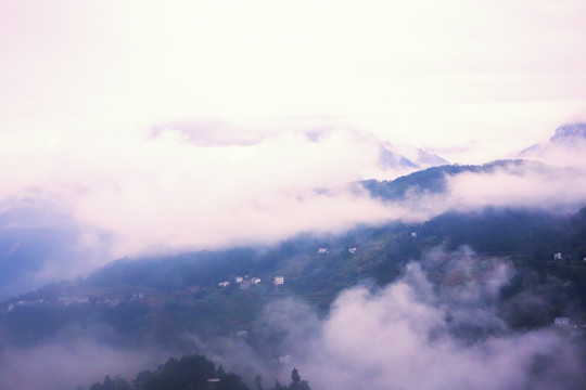 高山云雾