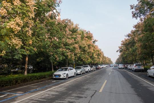 城市道路