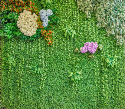 高清 花卉绿植背景墙