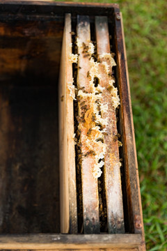 蜂箱蜂巢