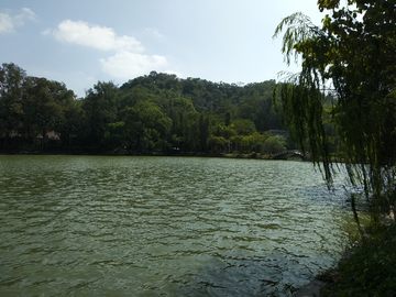 湖畔风景