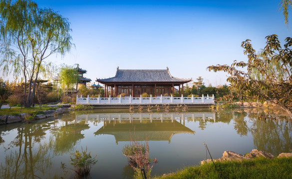 中国银川花博园