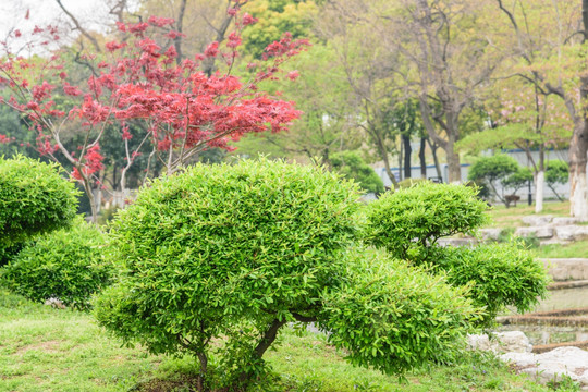 园林景观