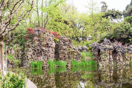 湖边美景