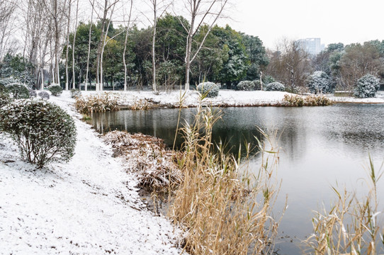 湖畔雪景