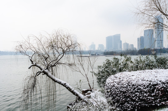 湖畔雪景