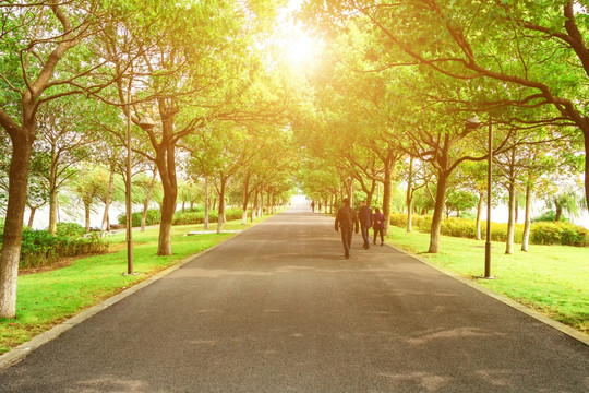 阳光道路