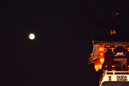 芙蓉园 月亮 夜景