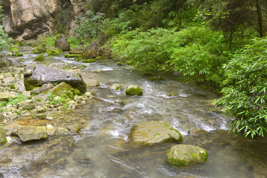 清澈山溪水