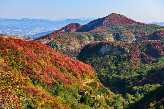 大山秋色