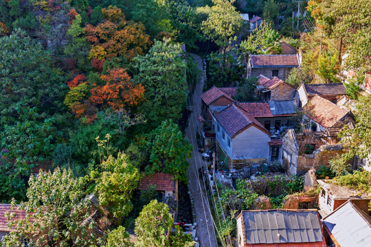 山村秋色