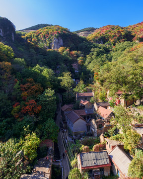 山村秋色