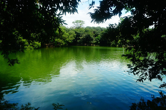 湖泊池塘风光