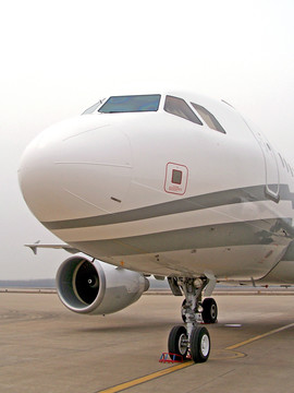空客A318 公务机