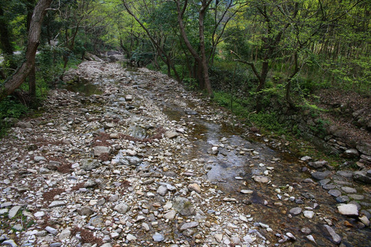 雁荡山山洪冲刷河道