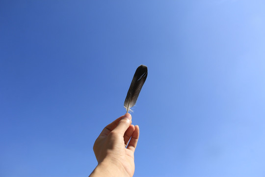 手拿羽毛蓝天图