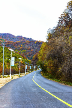 林荫路 盘山公路