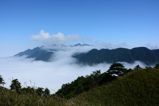 武功山云海 武功山云海实拍