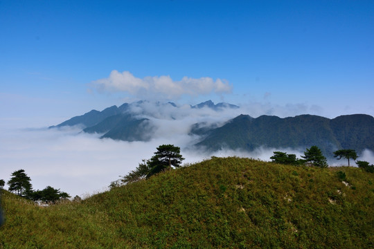 武功山云海 武功山云海实拍