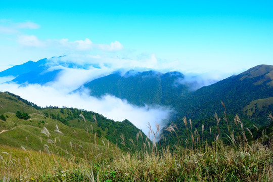 武功山景色 武功山风光摄影