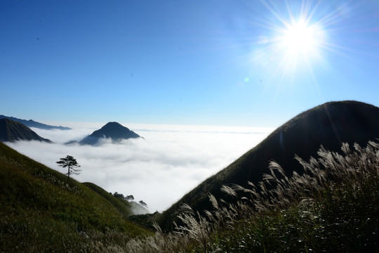 武功山景色 武功山风光摄影