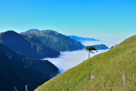 武功山 江西武功山