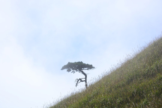 武功山 江西武功山