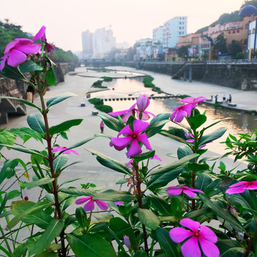 南山小景