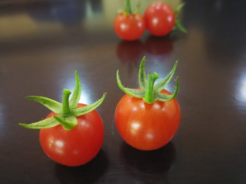 西红柿 番茄 小西红柿 小