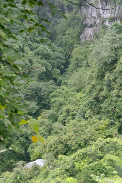 自然风光 悬崖峭壁 山林植被