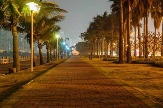 海滨情侣路夜景