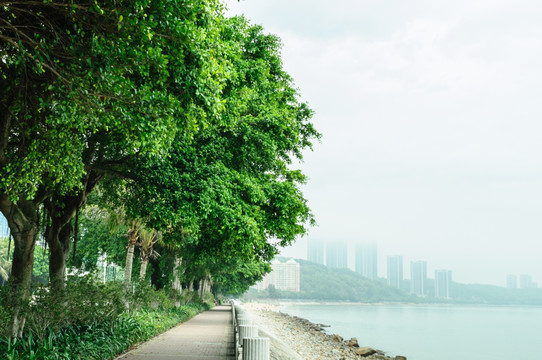 珠海海滨风景