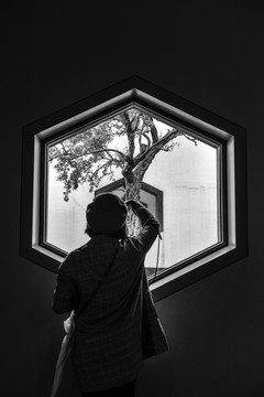 窗户 背影 苏州博物馆