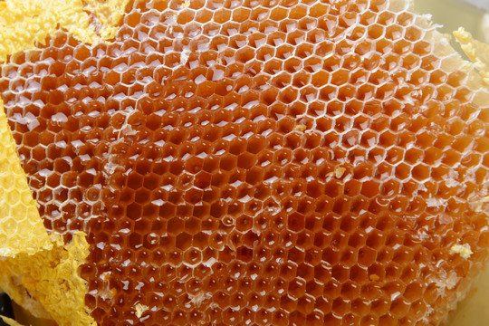 蜂蜜与蜂巢