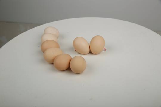 鸡蛋 草鸡蛋 蛋 鸡蛋组合