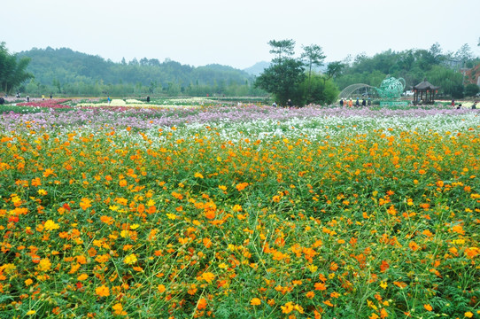 衢州乡村