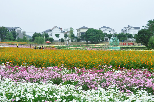 衢州荆溪花谷风景