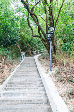 登山道