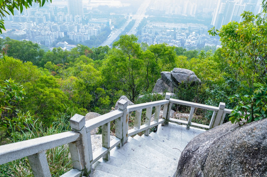 登山道