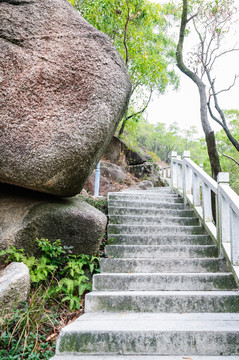 登山道