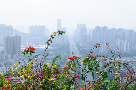 俯瞰城市