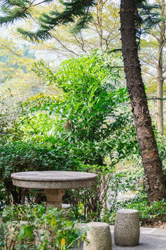 石景山公园景色