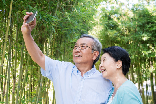 一对老夫妻在竹林散步