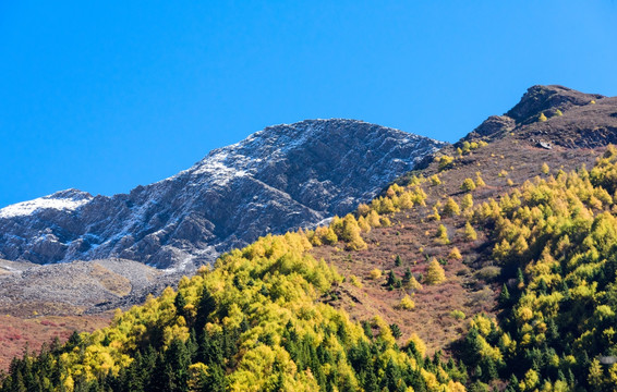 四姑娘山大峰