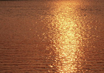 水波纹 夕阳下湖面 水波纹纹理