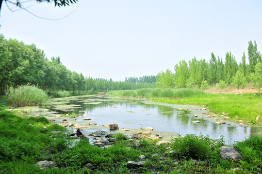 清澈小河水